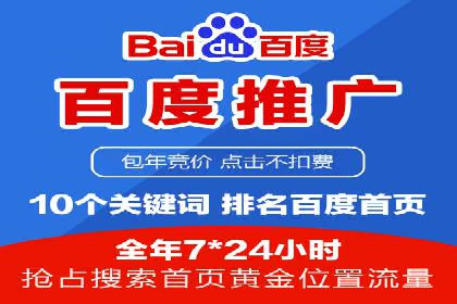 SEM推广实战：成功案例剖析